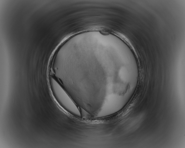 X0000086020851200704131848