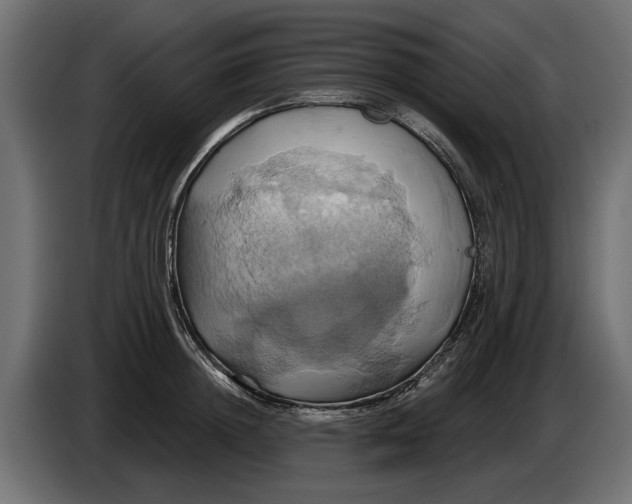 X0000086020852200704131848