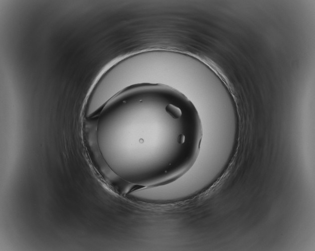 X0000086020854200704131848