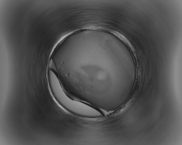 X0000086020855200704131848