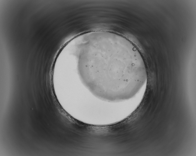 X0000086020856200704131848
