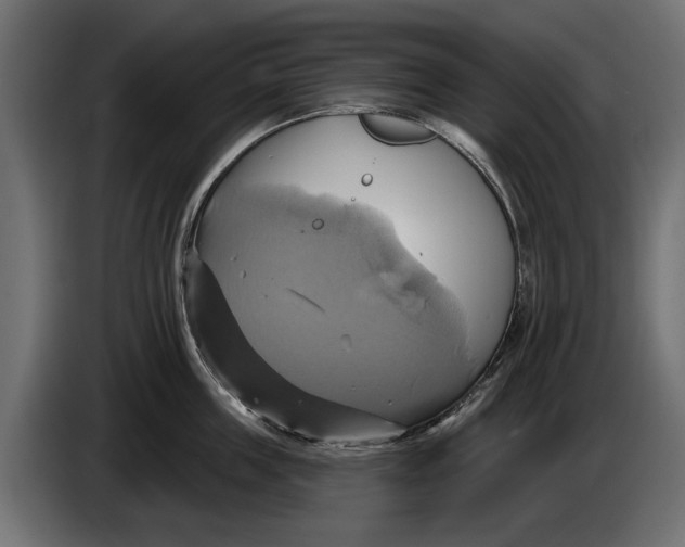 X0000086020859200704131848