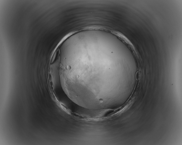 X0000086020860200704131848