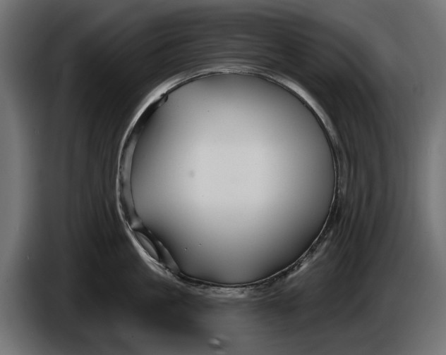 X0000086020861200704131848