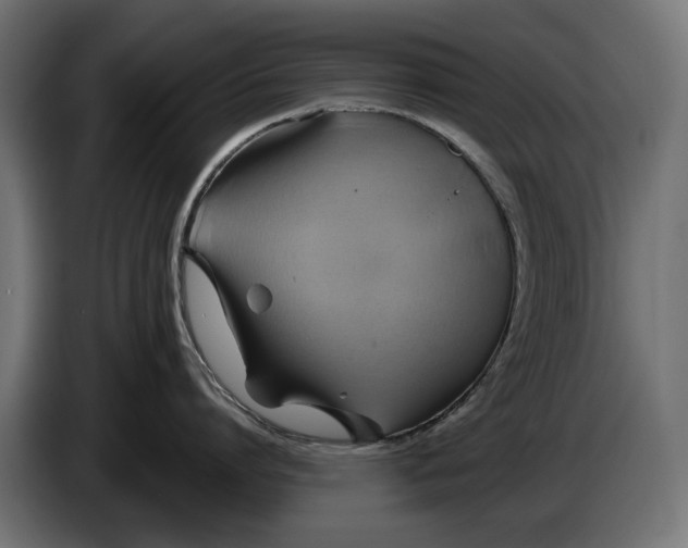 X0000086020864200704131848
