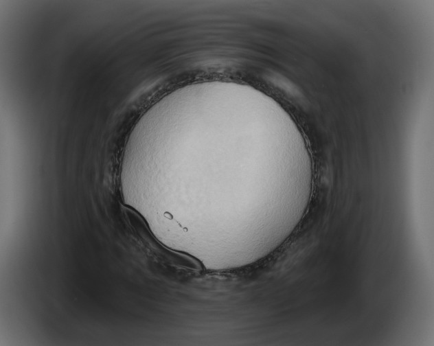 X0000086020869200704131848