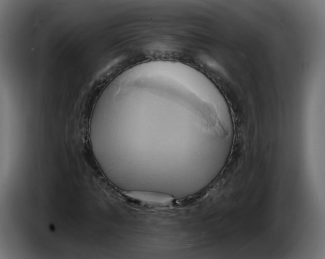 X0000086020870200704131848