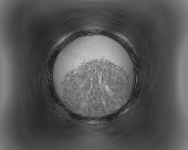 X0000086020871200704131848