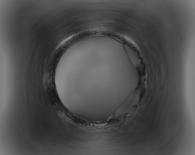 X0000086020872200704131848