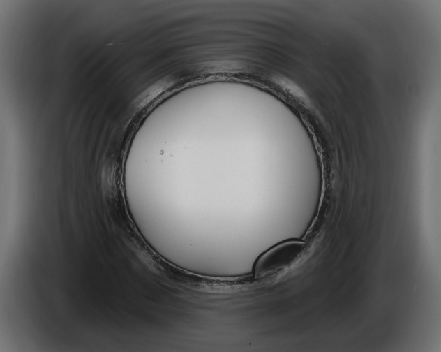 X0000086020873200704131848
