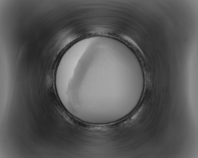 X0000086020874200704131848