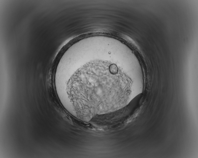X0000086020875200704131848