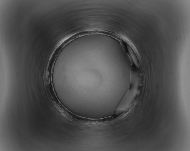X0000086020876200704131848