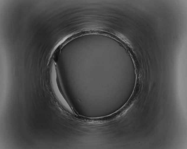 X0000086020877200704131848