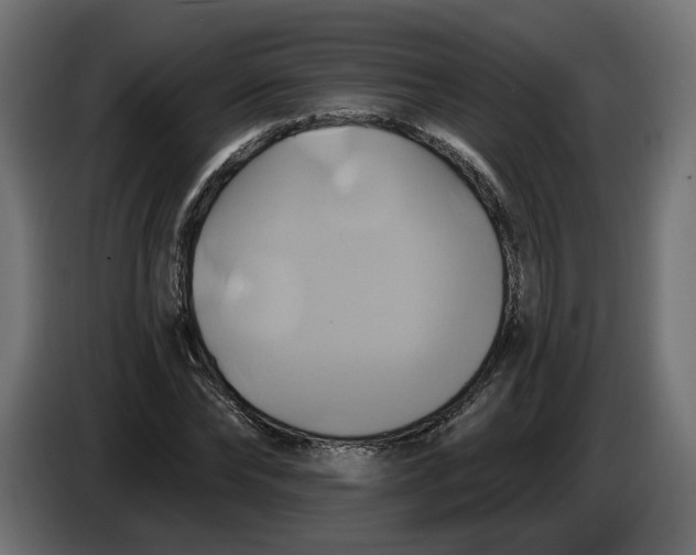X0000086020878200704131848