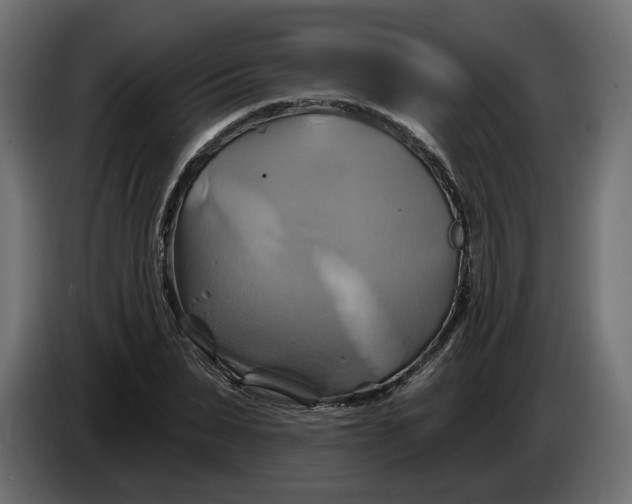 X0000086020879200704131848