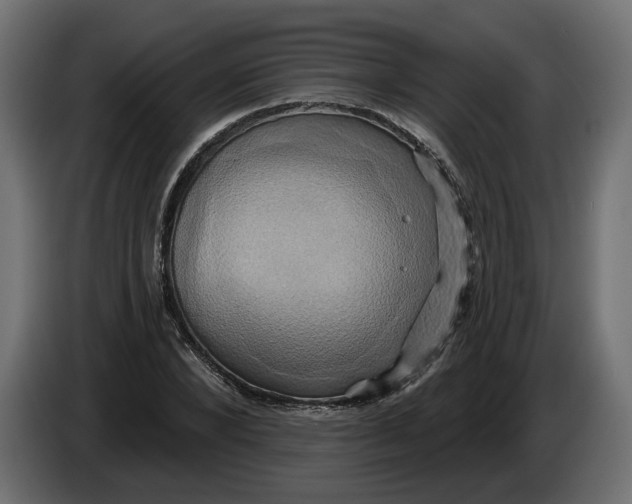 X0000086020880200704131847