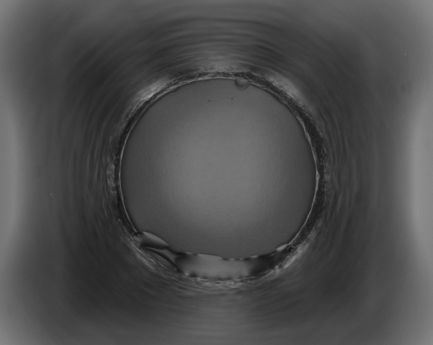 X0000086020881200704131847