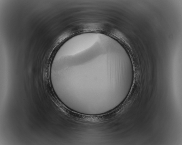 X0000086020882200704131847