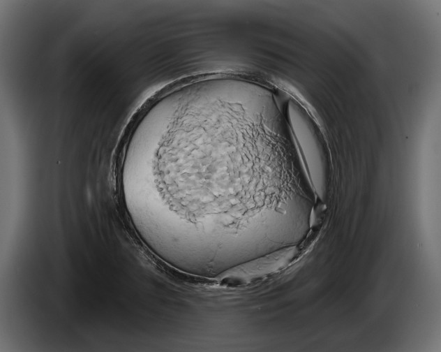 X0000086020883200704131847