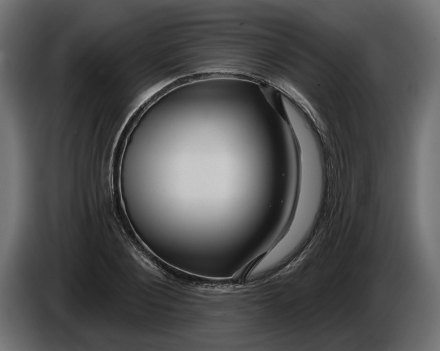 X0000086020884200704131847