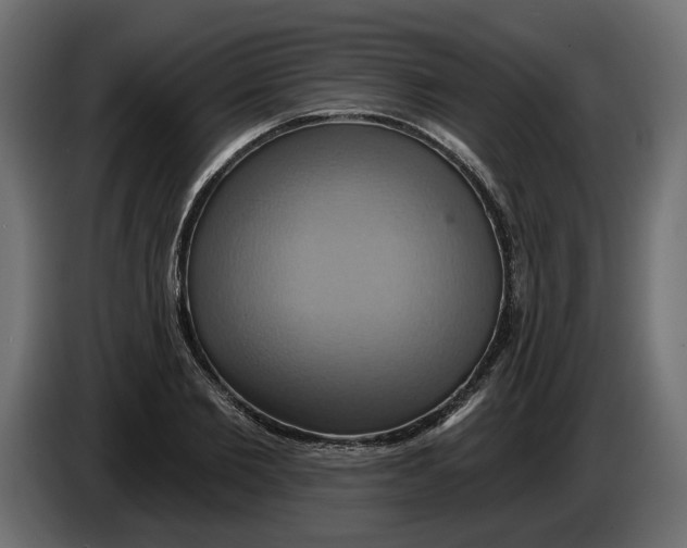 X0000086020885200704131847