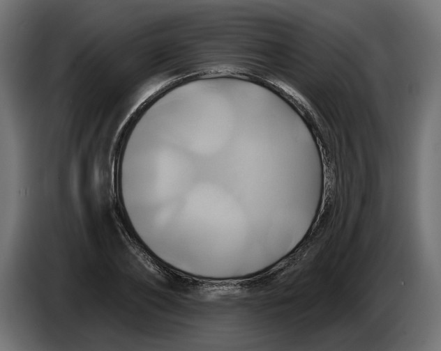 X0000086020886200704131847