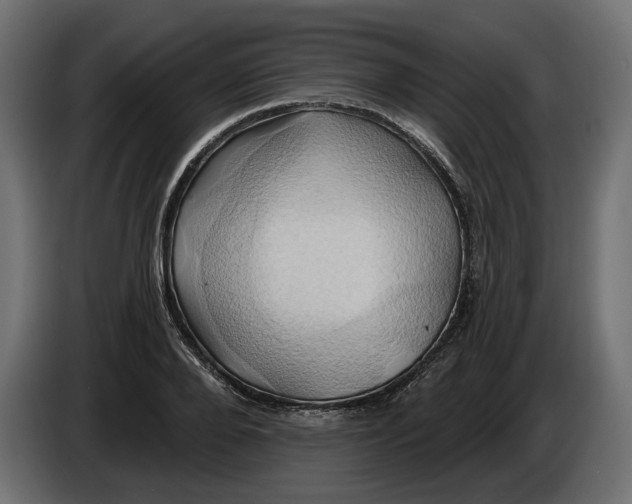 X0000086020888200704131847