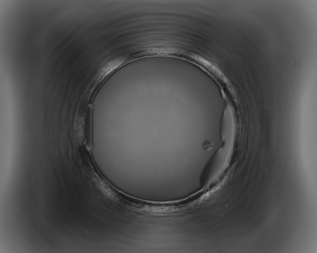 X0000086020889200704131847