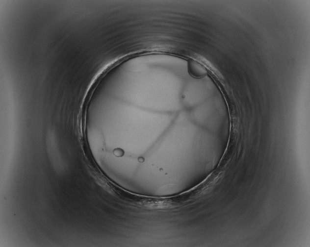 X0000086020891200704131847