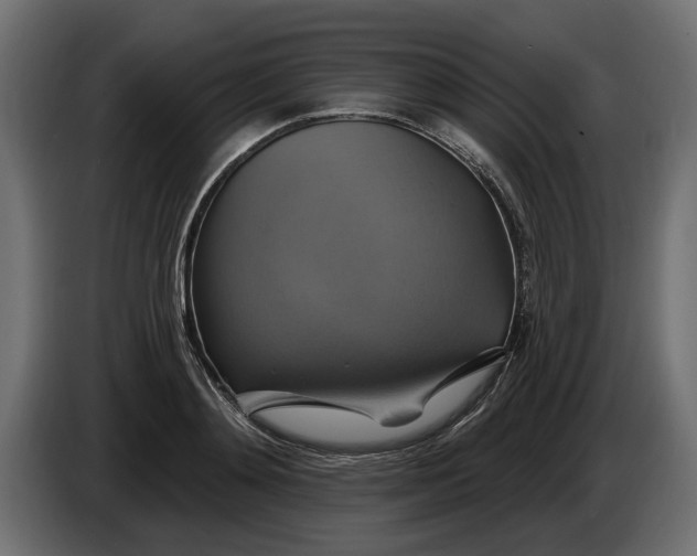 X0000086020892200704131847