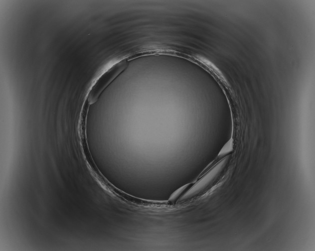 X0000086020893200704131847