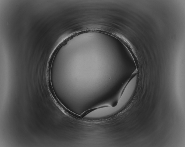 X0000086020894200704131847