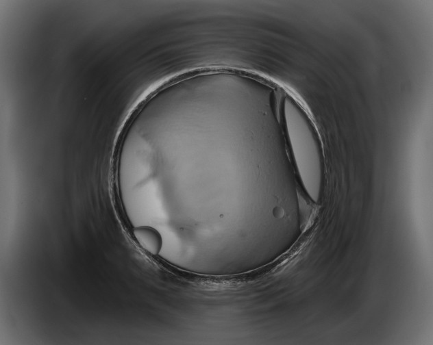 X0000086020895200704131847