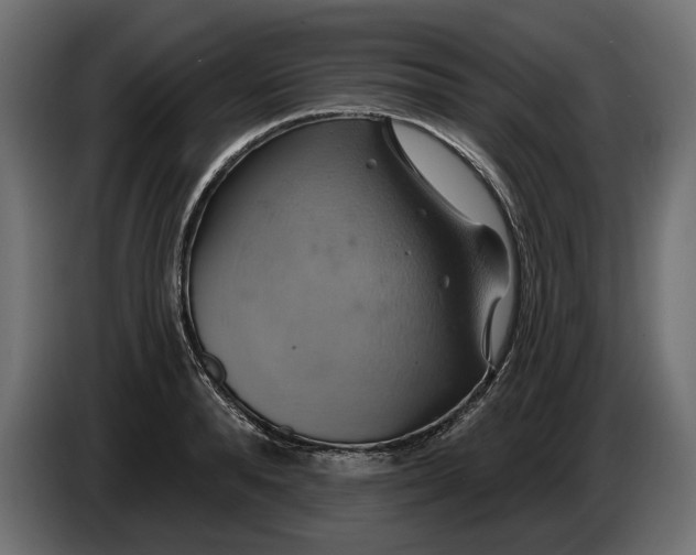X0000086020896200704131847