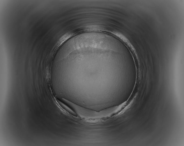 X0000086020897200704131847