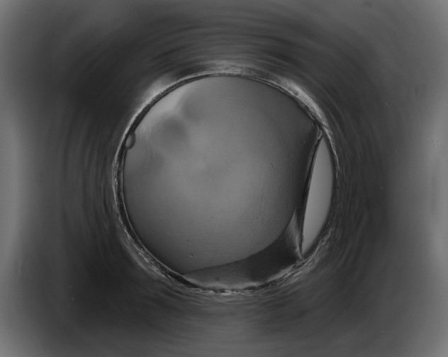 X0000086020899200704131847