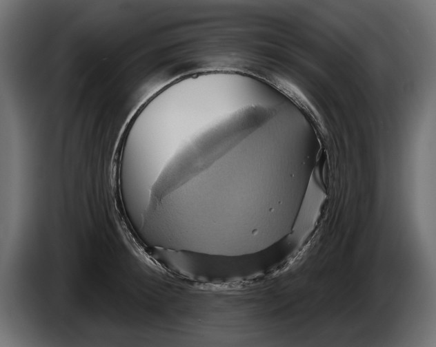 X0000086020900200704131847