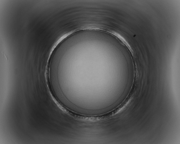 X0000086020901200704131847