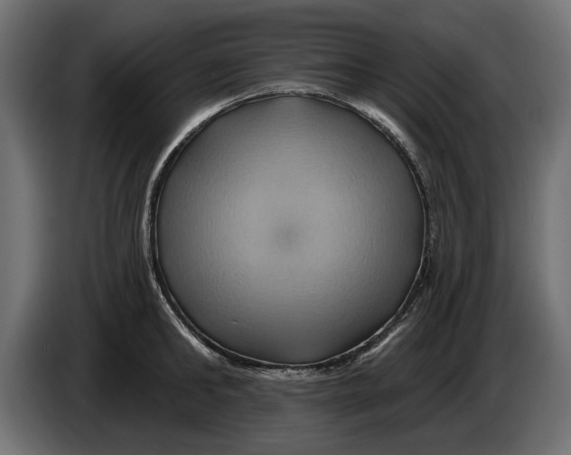 X0000086020902200704131847