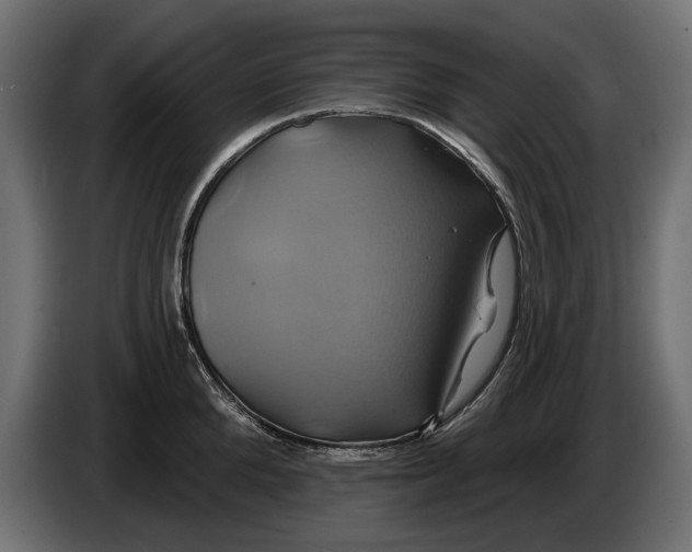 X0000086020904200704131847
