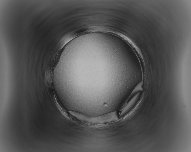X0000086020905200704131847