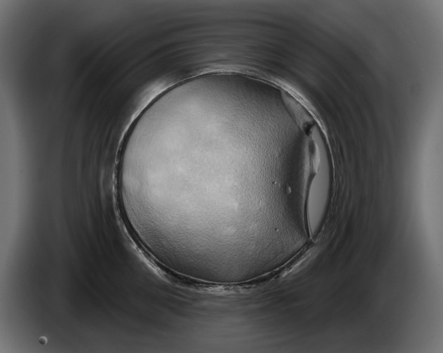 X0000086020906200704131847