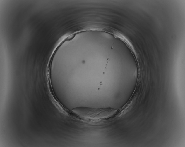 X0000086020907200704131847