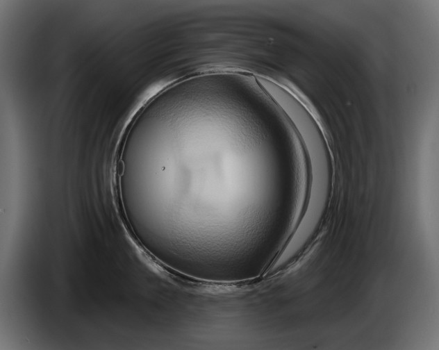 X0000086020909200704131847