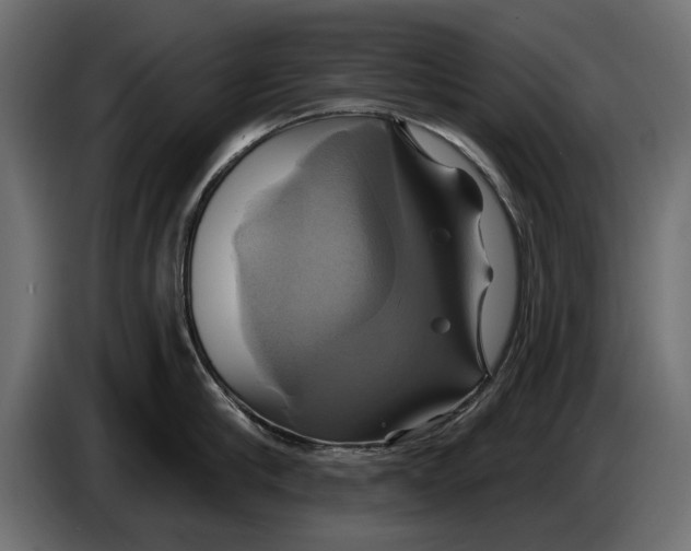 X0000086020910200704131847