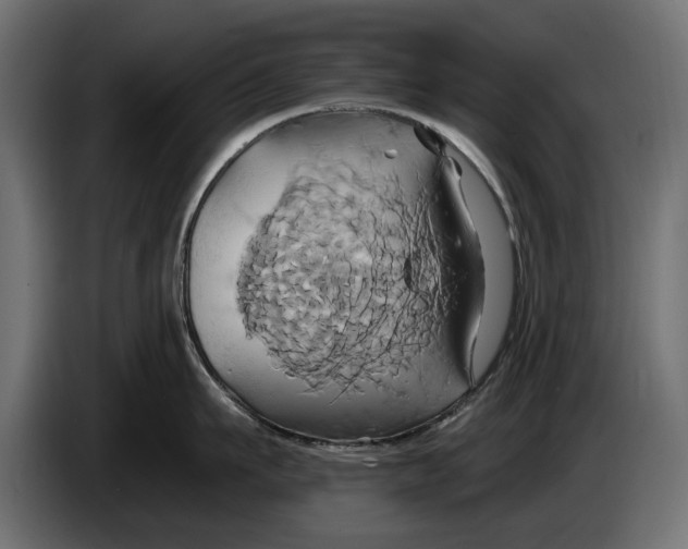 X0000086020911200704131847