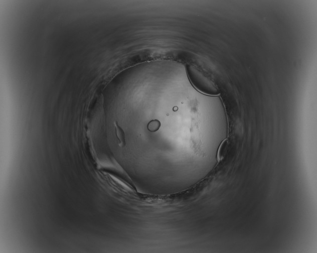 X0000086020914200704131846