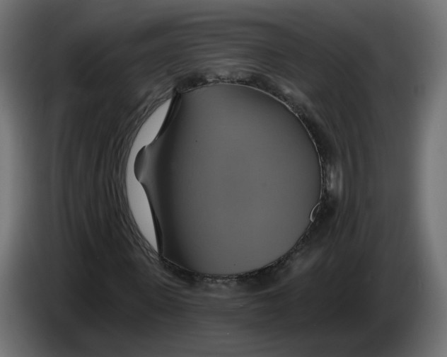 X0000086020915200704131846