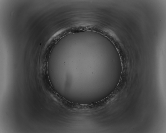 X0000086020920200704131846